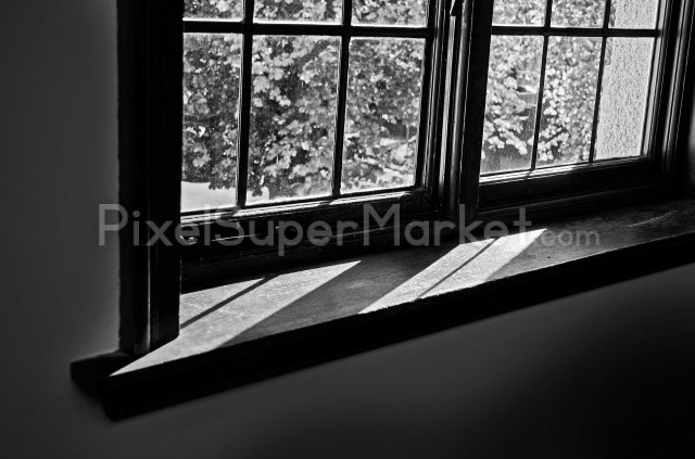 window windowsIq2898