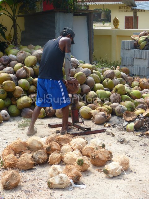 worker hardworker2774